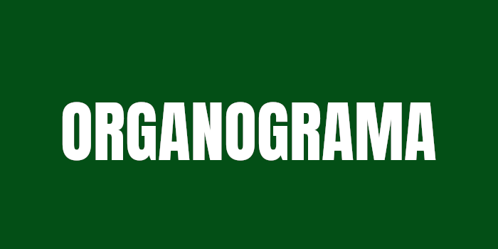 Organograma