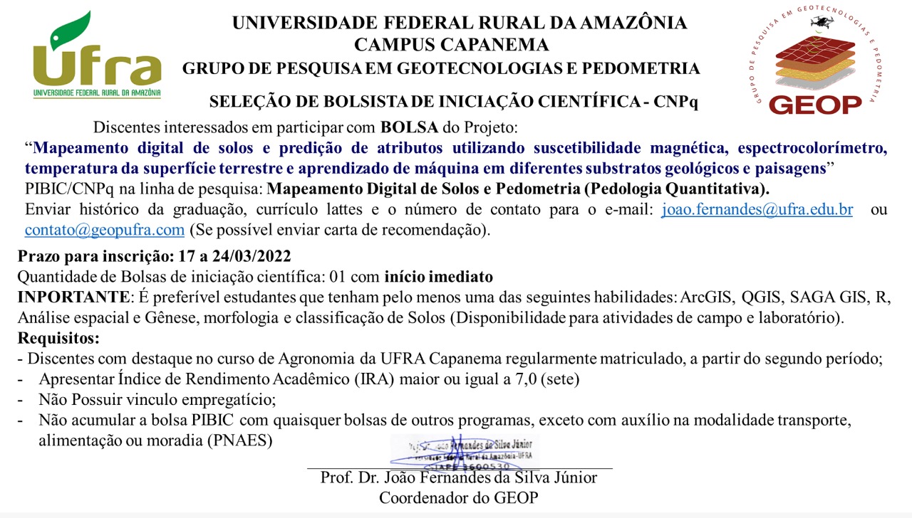 Bolsa CNPQ