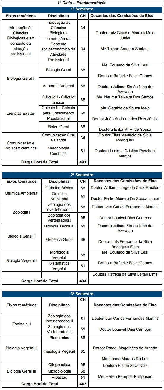 1º Ciclo - Fundamentação