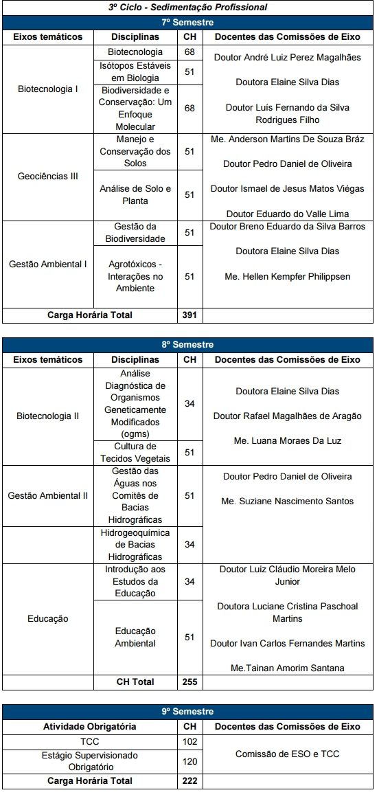 3º Ciclo - Sedimentação Profissional