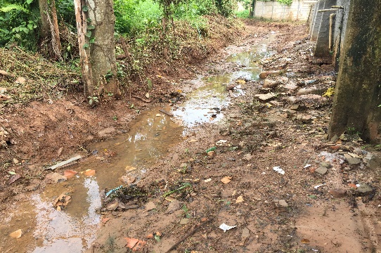 Foto de campo da equipe Analitch em pesquisa no Rio Ouricuri - ponto de coleta 1