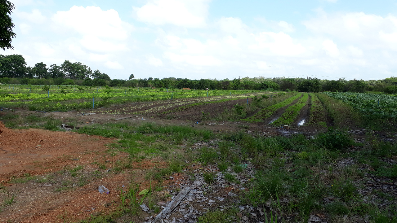 Imagem de análise em laboratório para qualidade de água de irrigação 1