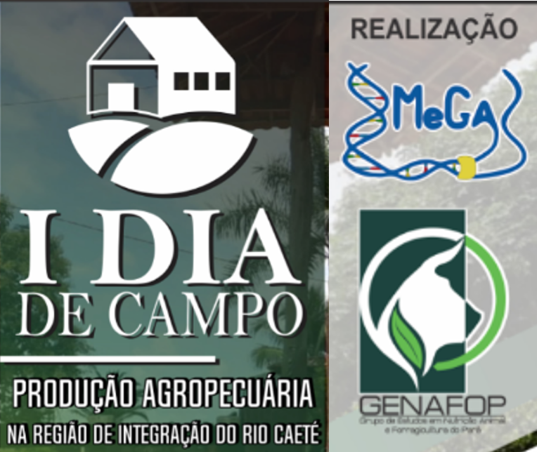 imagem I Dia de Campo